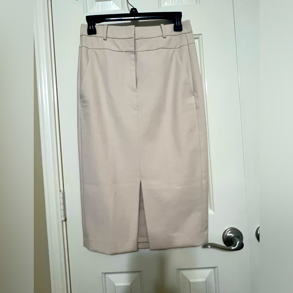 NWT: Ann Taylor skirt